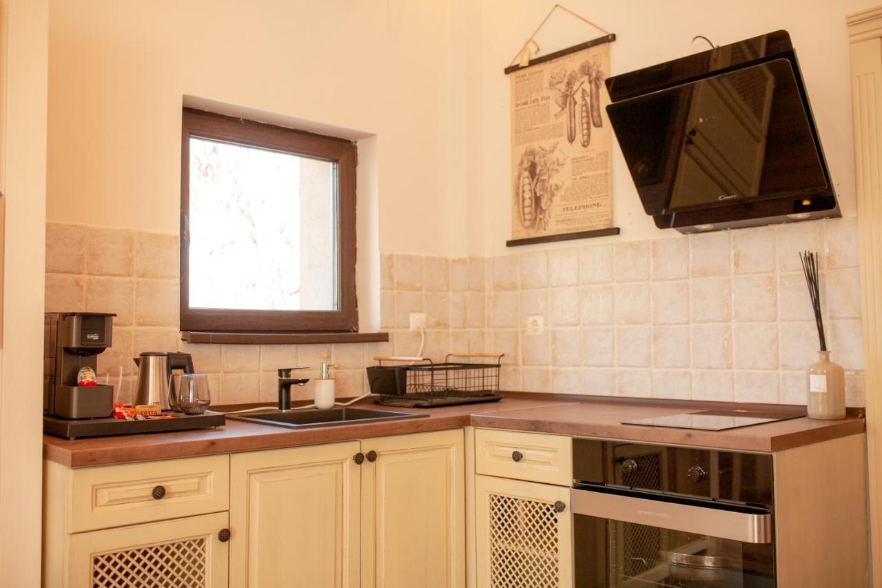 Private Villa Gergana Sapareva Banya Extérieur photo
